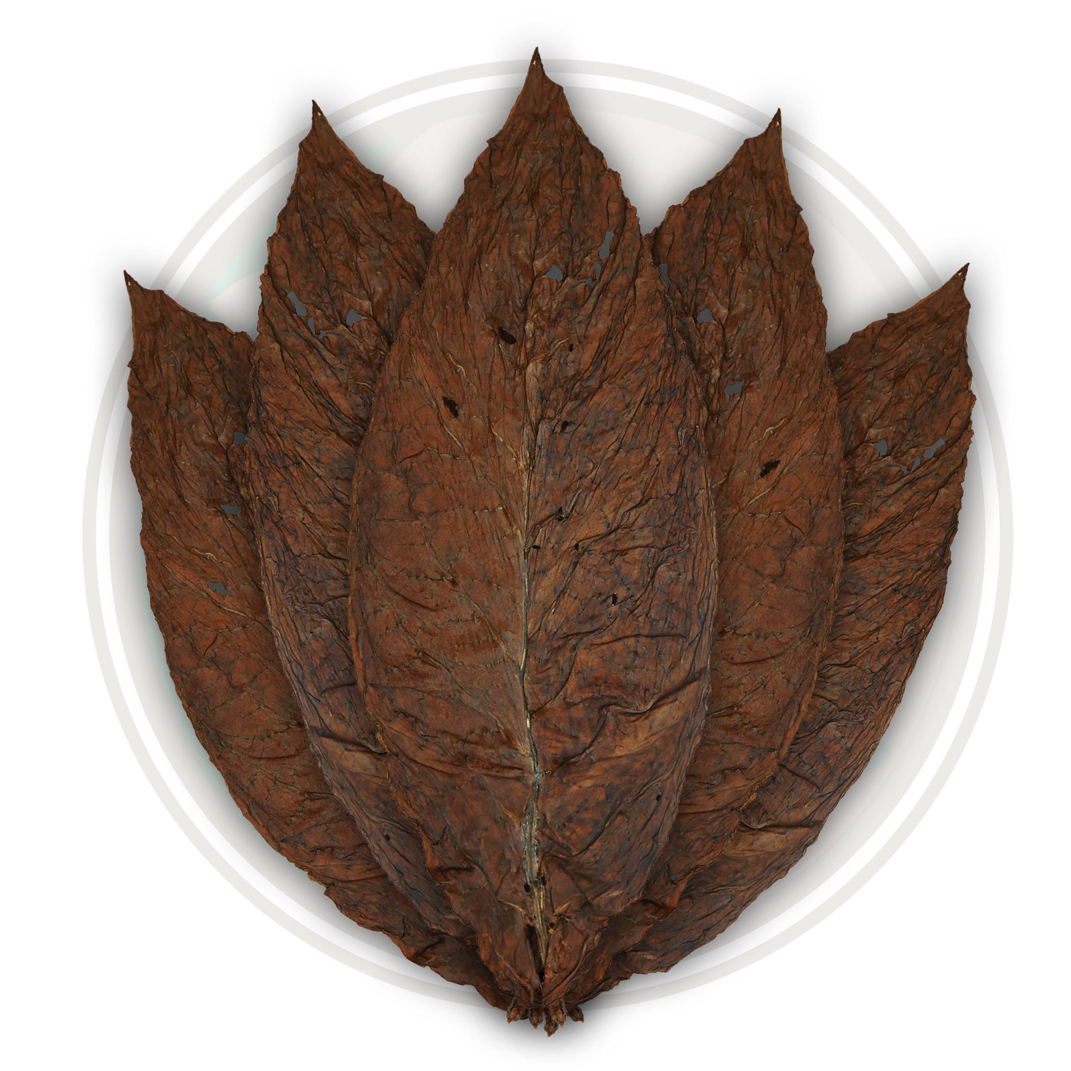 CT Broadleaf Cigar Binder - 2LS CT Broadleaf Cigar Binder - 2LS